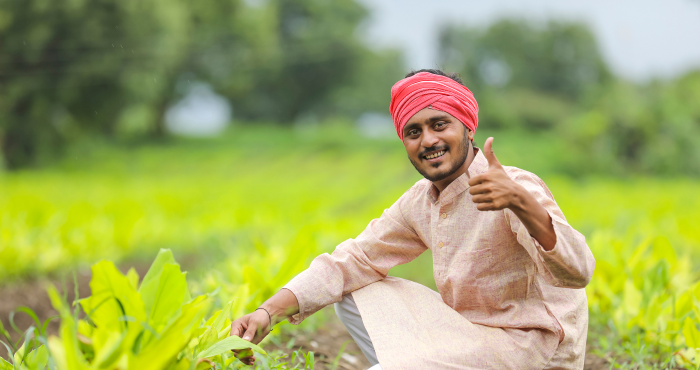 young-indian-farmer-turmeric-agriculture-field